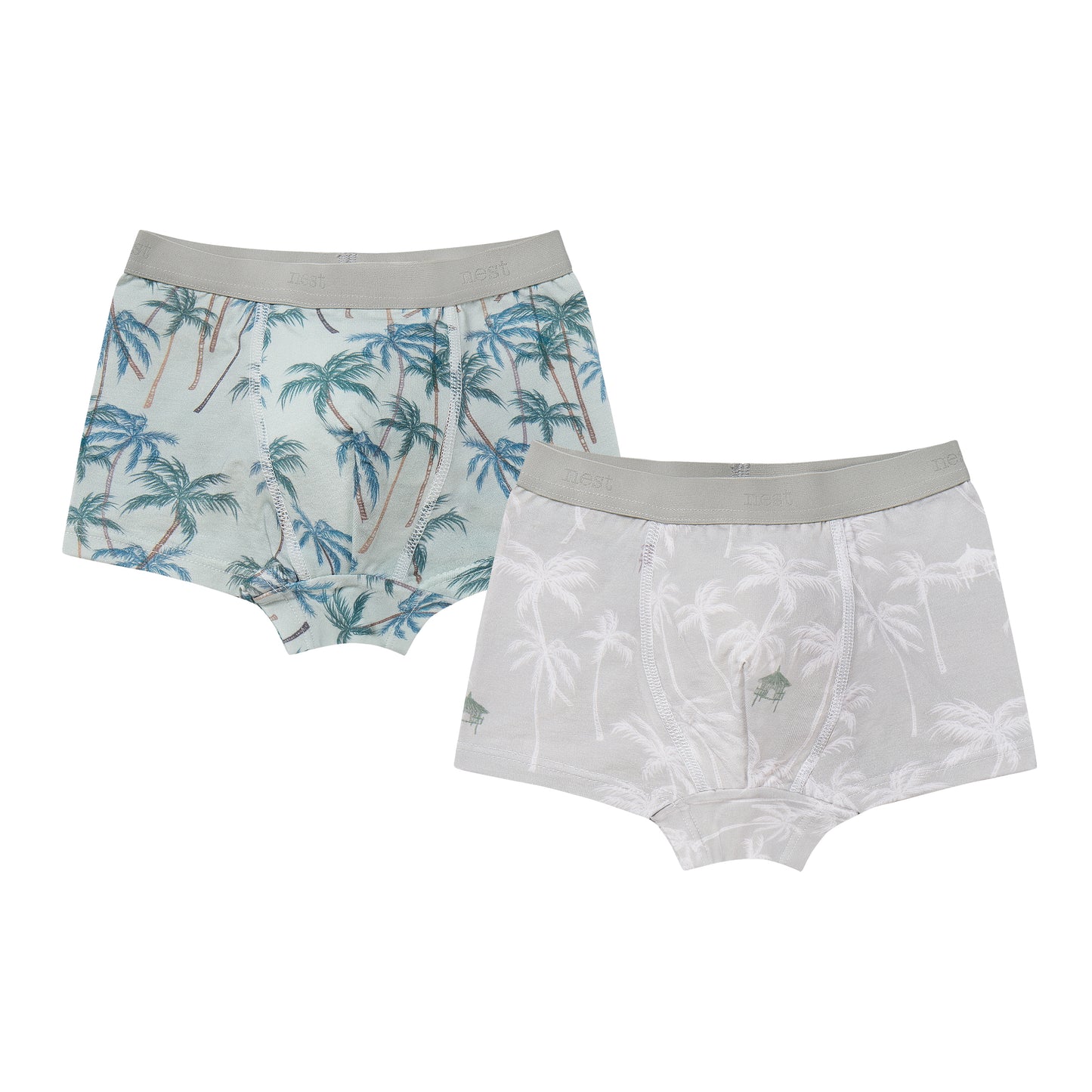 Boys Boxer Briefs Underwear (2 Pack)