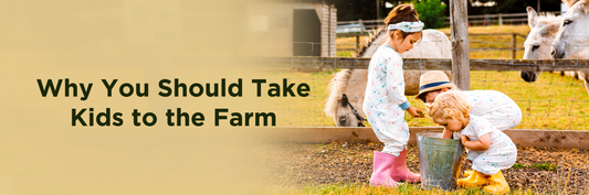 Why You Should Take Kids to the Farm