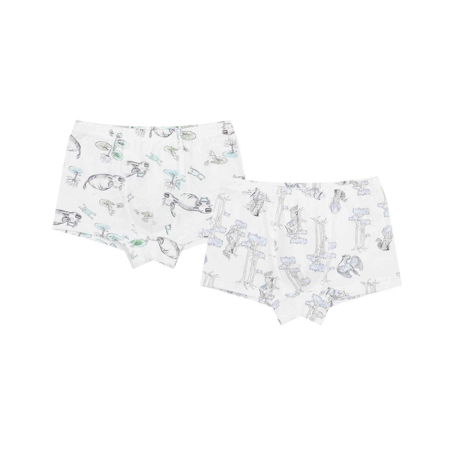 Boys Boxer Briefs Underwear (2 Pack)