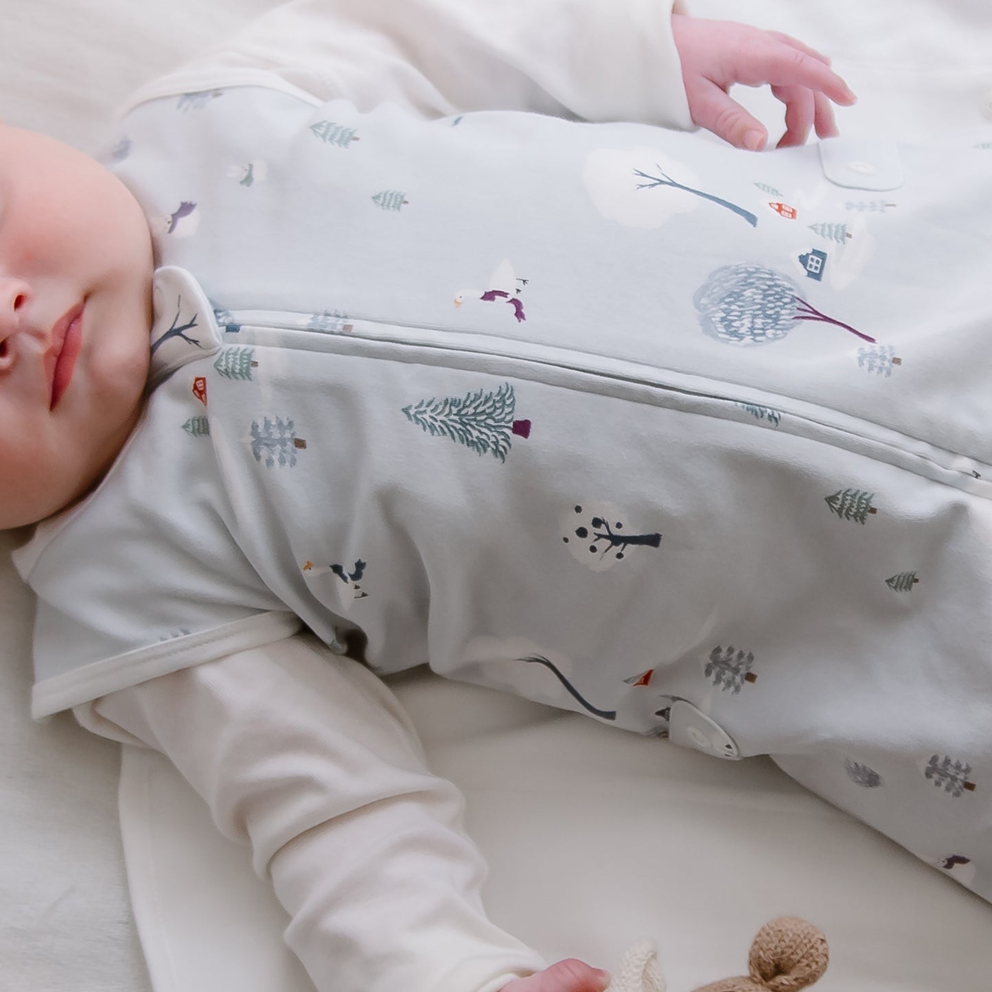 Swaddle Sleep Bag