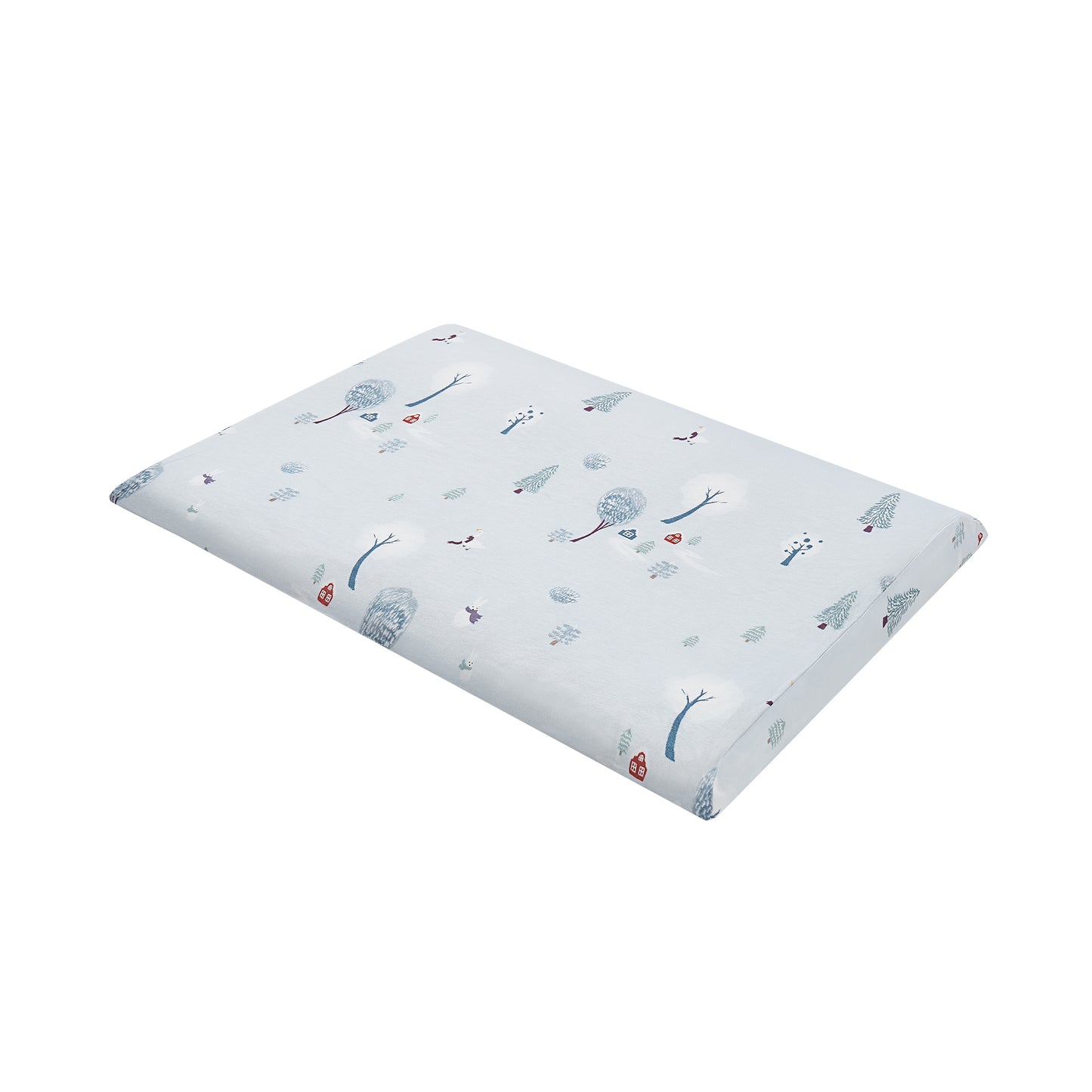 Toddler Pillow with Pillowcase
