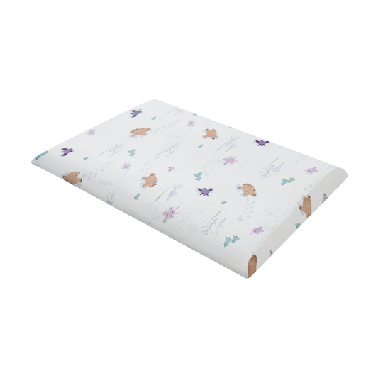 Toddler Pillow with Pillowcase