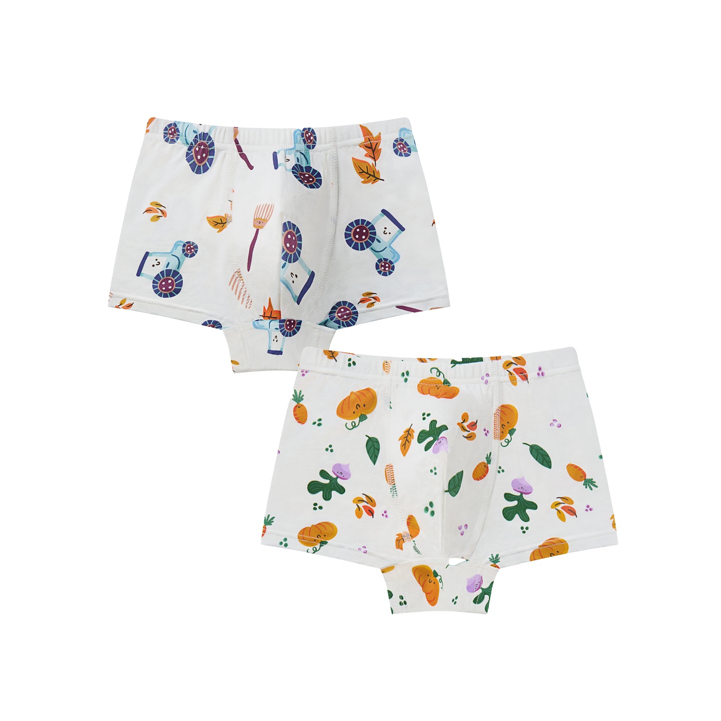 Boys Boxer Briefs Underwear (2 Pack)
