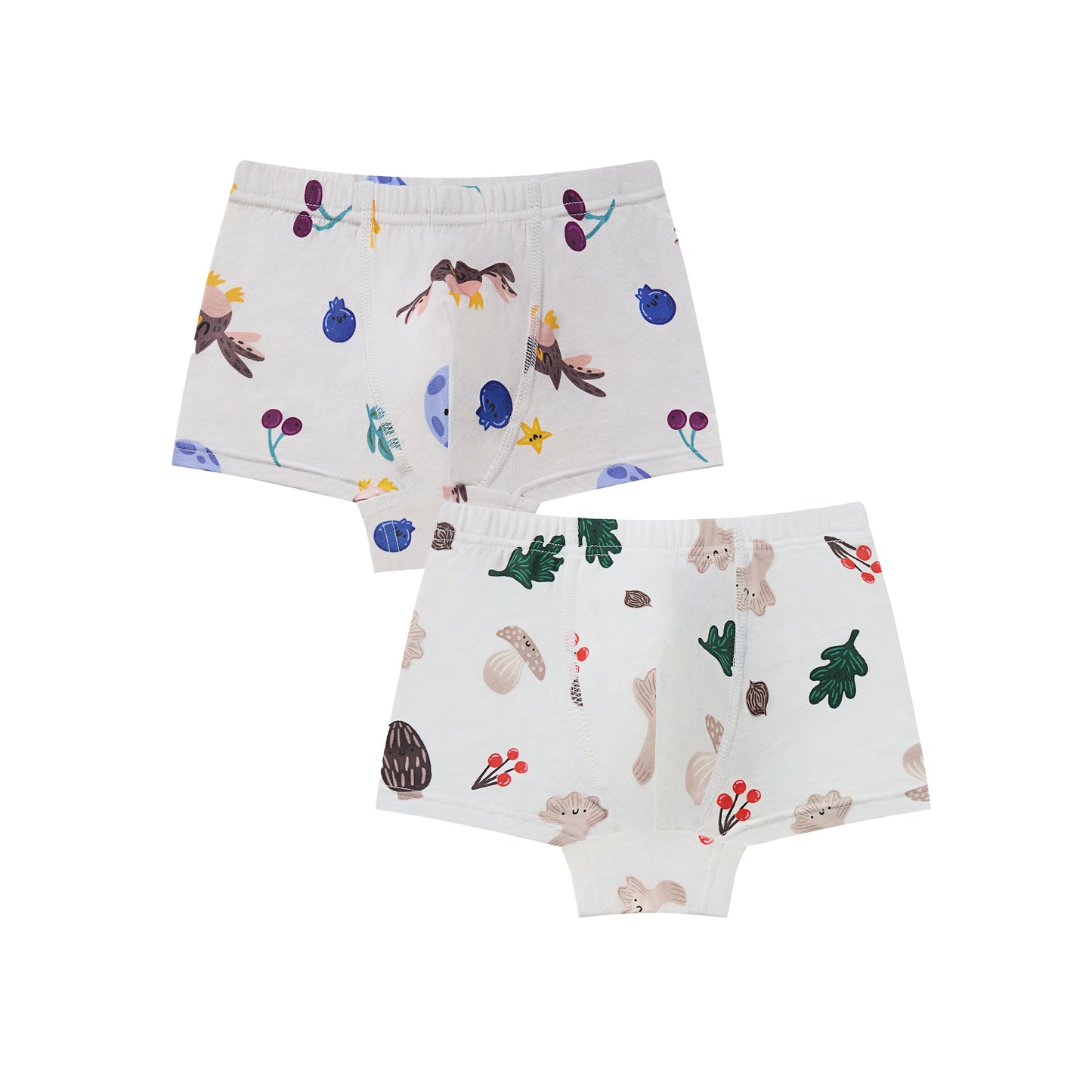 Boys Boxer Briefs Underwear (2 Pack)