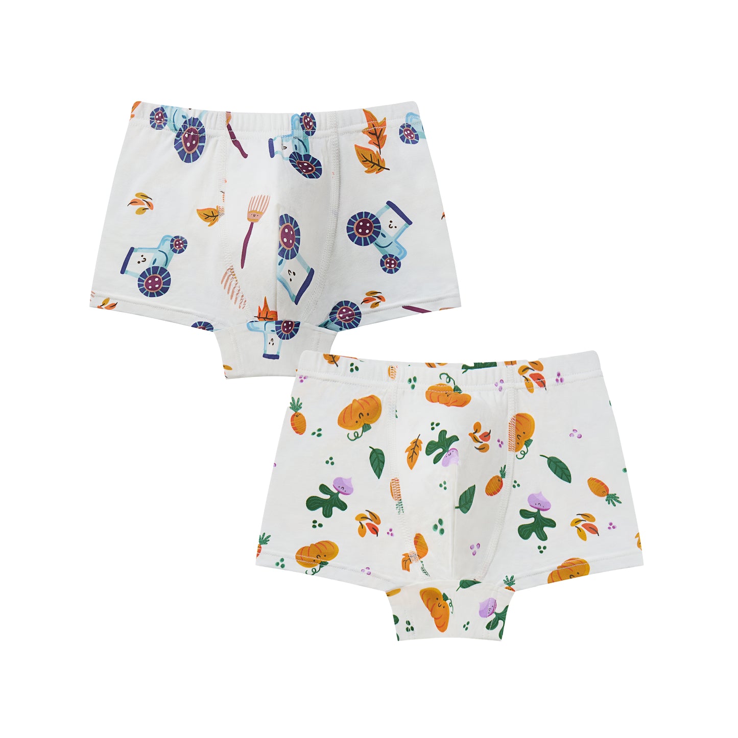 Boys Boxer Briefs Underwear (2 Pack)