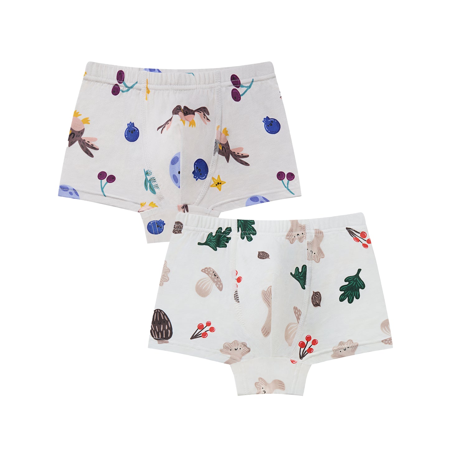 Boys Boxer Briefs Underwear (2 Pack)