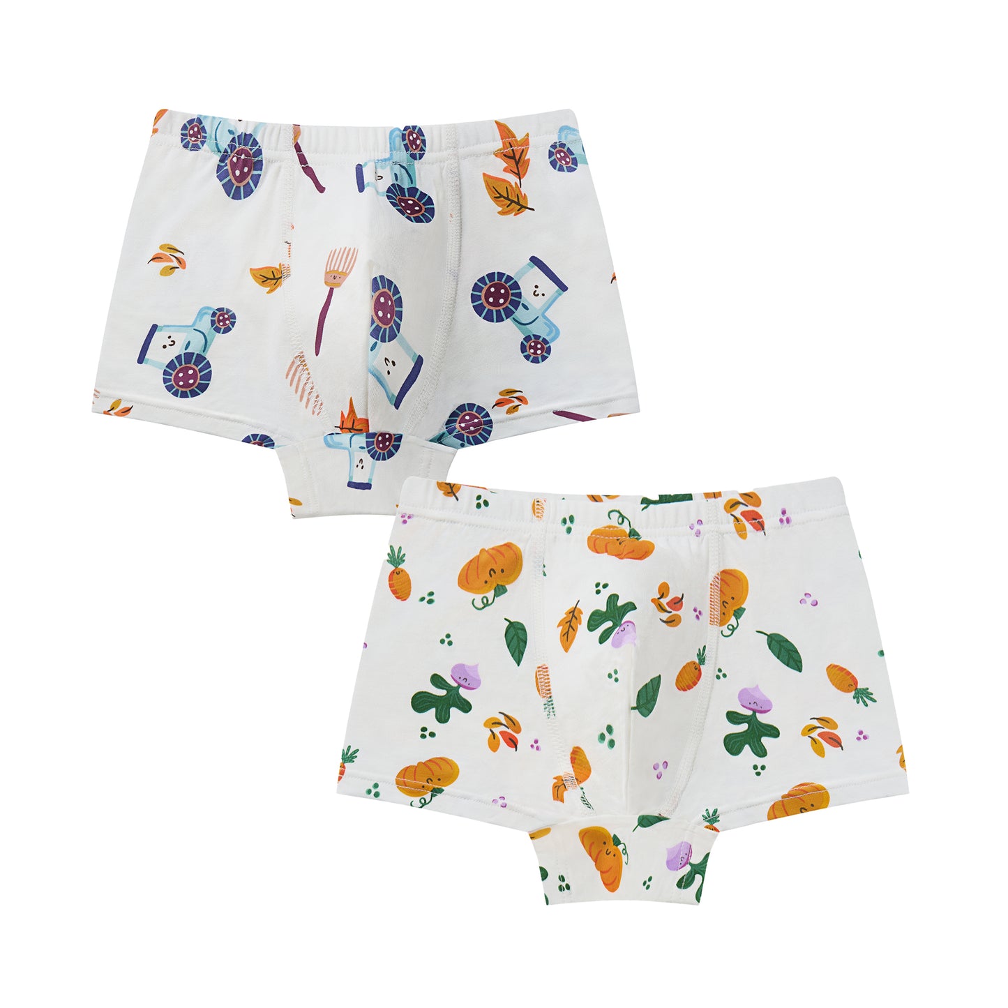 Boys Boxer Briefs Underwear (2 Pack)